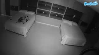 @voyeurcam-casa-salsa-versus-room Instantaneu • 2026-02-15 14:39