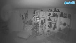 @voyeurcam-missoliviablack-03 Snapshot • 2026-02-15 13:49