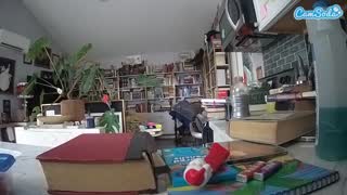 @voyeurcam-bridgetleewalters-02 Snapshot • 2026-02-18 19:09