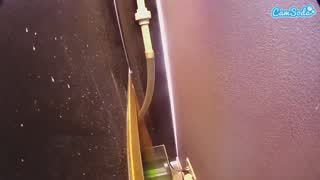 @voyeurcam-casa-salsa-fishtank Snapshot • 2026-02-18 18:28