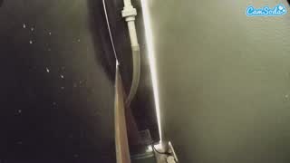 @voyeurcam-casa-salsa-fishtank Snapshot • 2026-02-20 02:53