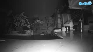 @voyeurcam-bridgetleewalters-02 Snapshot • 2026-02-22 03:39