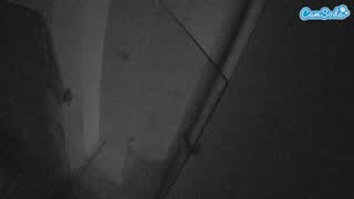 @voyeurcam-casa-salsa-bathroom-7 Snapshot • 2026-02-22 03:26
