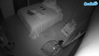 @voyeurcam-casa-salsa-bedroom-7 Snapshot • 2026-02-22 03:06