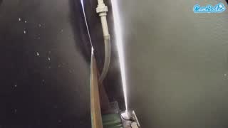 @voyeurcam-casa-salsa-fishtank Snapshot • 2026-02-22 03:00