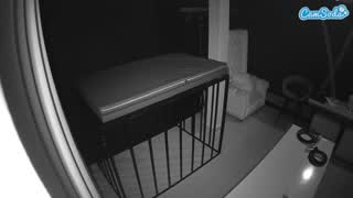 @voyeurcam-jb-porno-room-3 Snapshot • 2026-02-22 02:26