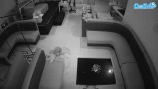 @voyeurcam-jb-room-7 Snapshot • 2026-02-22 02:16