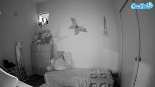 @voyeurcam-lolavalentine23 Instantaneu • 2026-02-22 01:30