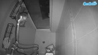 @voyeurcam-baileybase-shower Snapshot • 2026-02-24 06:51