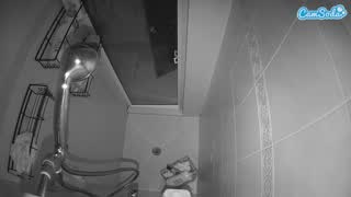 @voyeurcam-baileybase-shower Snapshot • 2026-02-25 08:44