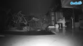 @voyeurcam-bridgetleewalters-02 Snapshot • 2026-02-25 08:42