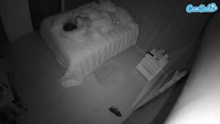 @voyeurcam-casa-salsa-bedroom-7 Snapshot • 2026-02-25 08:09