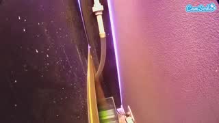 @voyeurcam-casa-salsa-fishtank Snapshot • 2026-02-25 08:03