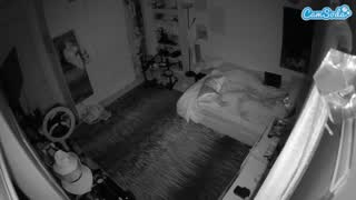 @voyeurcam-hornyhostel-02 Snapshot • 2026-02-25 07:40