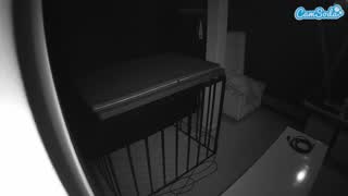 @voyeurcam-jb-porno-room-3 Snapshot • 2026-02-25 07:22