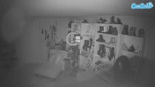 @voyeurcam-missoliviablack-03 Snapshot • 2026-02-25 06:15