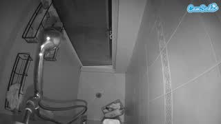 @voyeurcam-baileybase-shower Snapshot • 2026-02-26 14:12