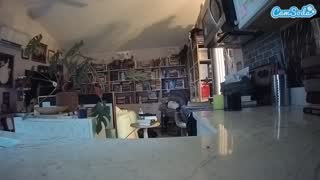 @voyeurcam-bridgetleewalters-02 Snapshot • 2026-02-26 14:10