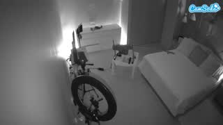 @voyeurcam-casa-salsa-bedroom-12 Snapshot • 2026-02-26 13:43