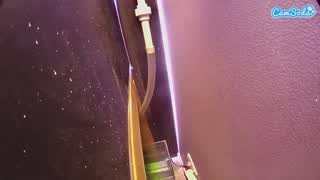 @voyeurcam-casa-salsa-fishtank Snapshot • 2026-02-26 13:24