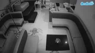 @voyeurcam-jb-room-7 Snapshot • 2026-02-26 12:29