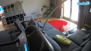 @voyeurcam-julmodels-living-4 Snapshot • 2026-02-26 11:52