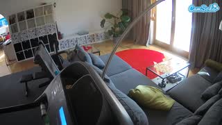 @voyeurcam-julmodels-living-4 Snapshot • 2026-02-26 11:54