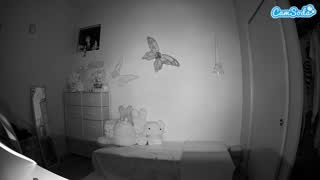 @voyeurcam-lolavalentine23 Instantaneu • 2026-02-26 11:34