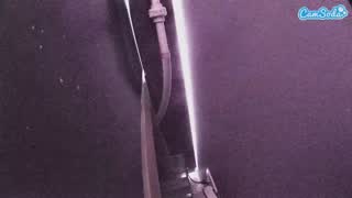 @voyeurcam-casa-salsa-fishtank Snapshot • 2026-02-27 10:31