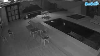 @voyeurcam-casa-salsa-gym Snapshot • 2026-03-01 23:47