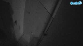 @voyeurcam-casa-salsa-bathroom-7 Snapshot • 2026-03-02 00:11