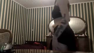 @NorineCrousore Snapshot • 2026-03-03 21:21