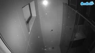 @voyeurcam-casa-salsa-bathroom-13 Snapshot • 2026-03-03 09:22