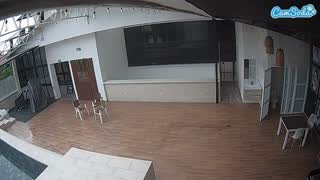 @voyeurcam-casa-salsa-panoramic Snapshot • 2026-03-05 21:29