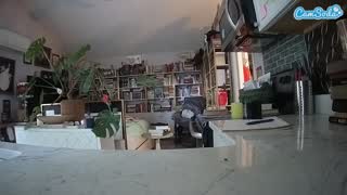 @voyeurcam-bridgetleewalters-02 Snapshot • 2026-03-06 22:44