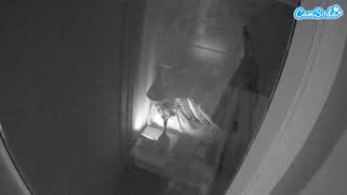 @voyeurcam-casa-salsa-bathroom-12 Snapshot • 2026-03-13 10:33
